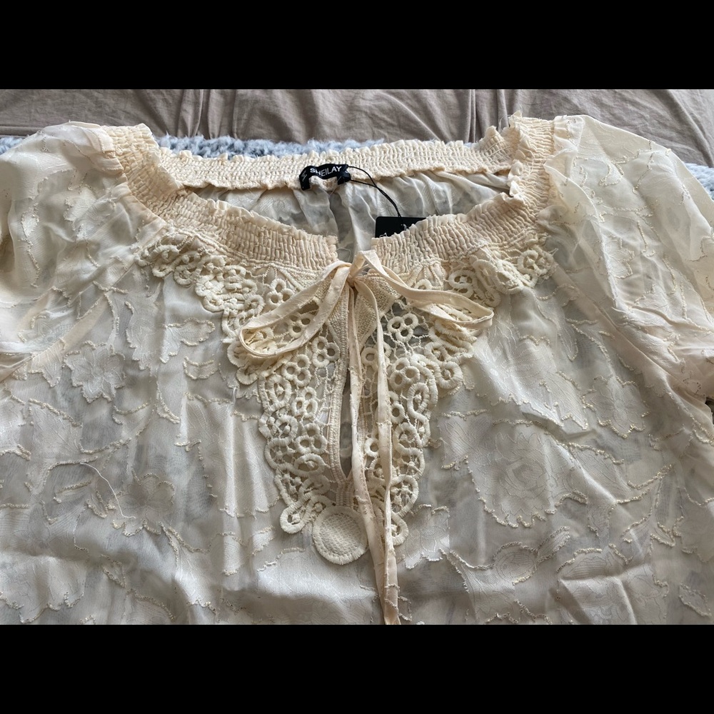 Sheer Blouse - Picture 4 of 5